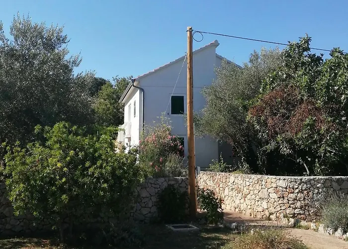 Seaside House - Ugljan - 12355